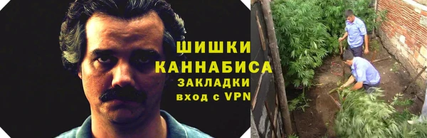 амф Снежногорск