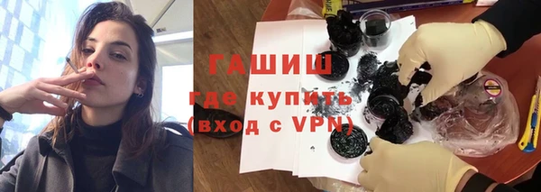 амф Снежногорск