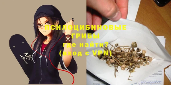 первитин Снежинск