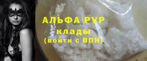 амф Снежногорск