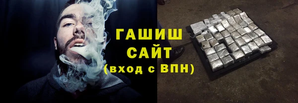 амф Снежногорск