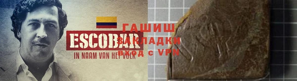 амф Снежногорск