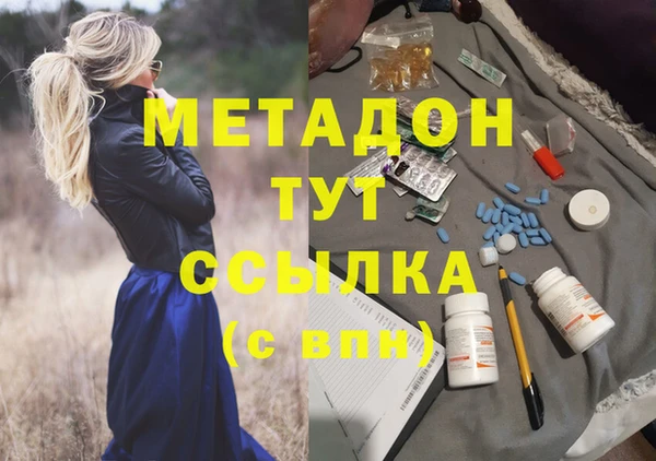 амф Снежногорск