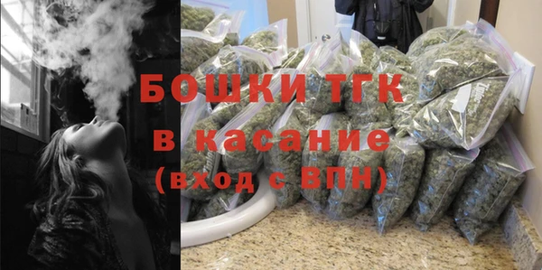 амф Снежногорск