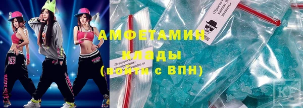амф Снежногорск