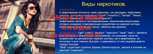 амф Снежногорск