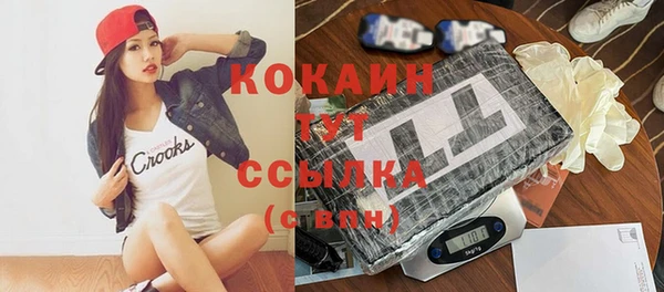 амф Снежногорск