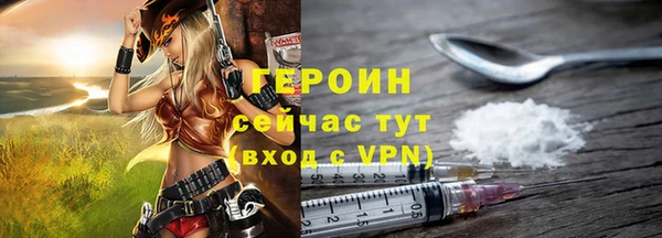 амф Снежногорск