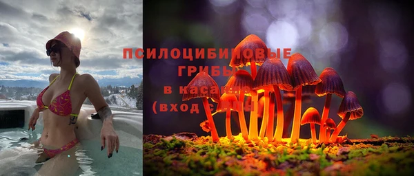 первитин Снежинск